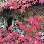 홈스테이 Un Coin De Foret *