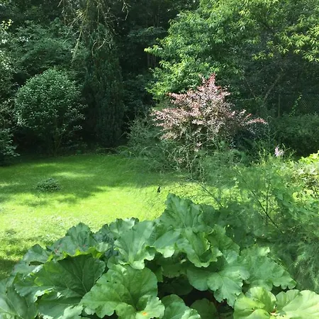 Homestay Un Coin De Foret Courmas