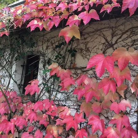 홈스테이 Un Coin De Foret *