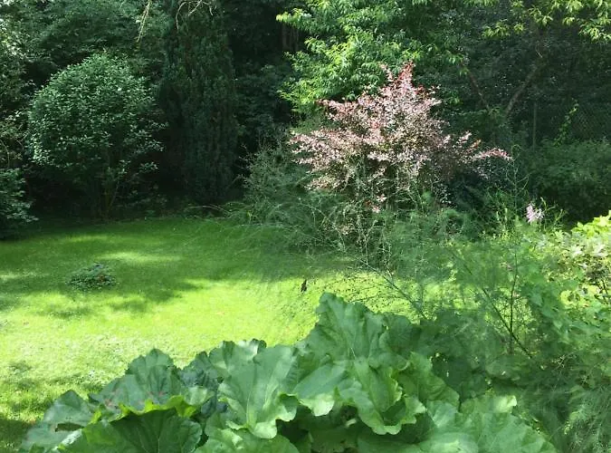 Privat bolig Un Coin De Foret Courmas