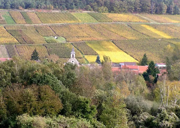 Un Coin De Foret Privat bolig Courmas