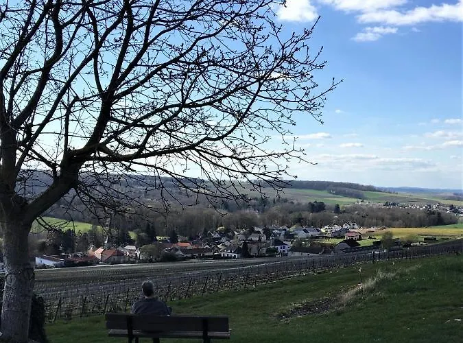 Privat bolig Un Coin De Foret Courmas