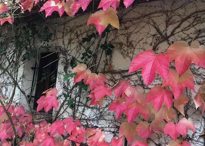 Privat bolig Un Coin De Foret *