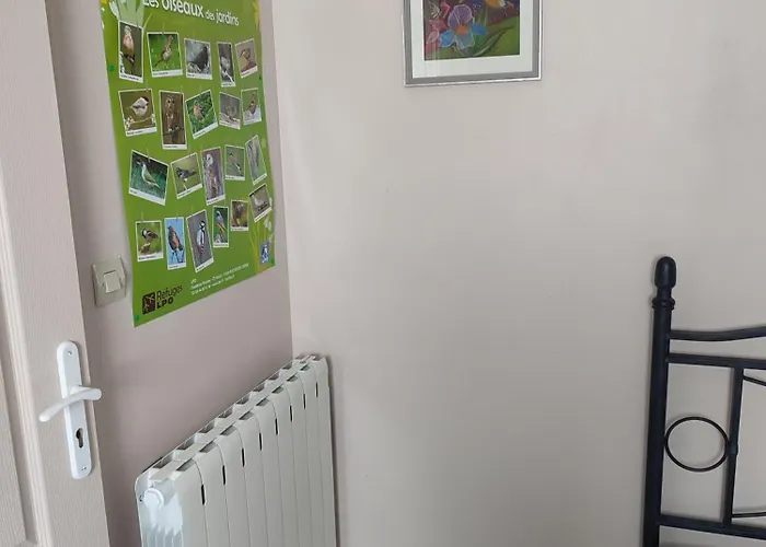 Un Coin De Foret Courmas