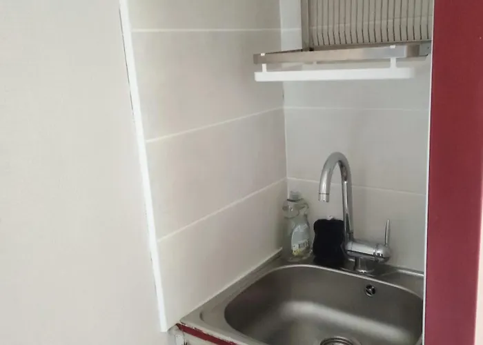 Un Coin De Foret Courmas